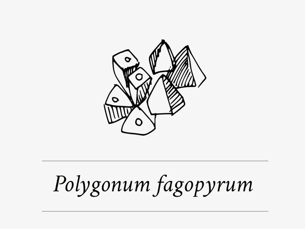 Ingredient Highlight