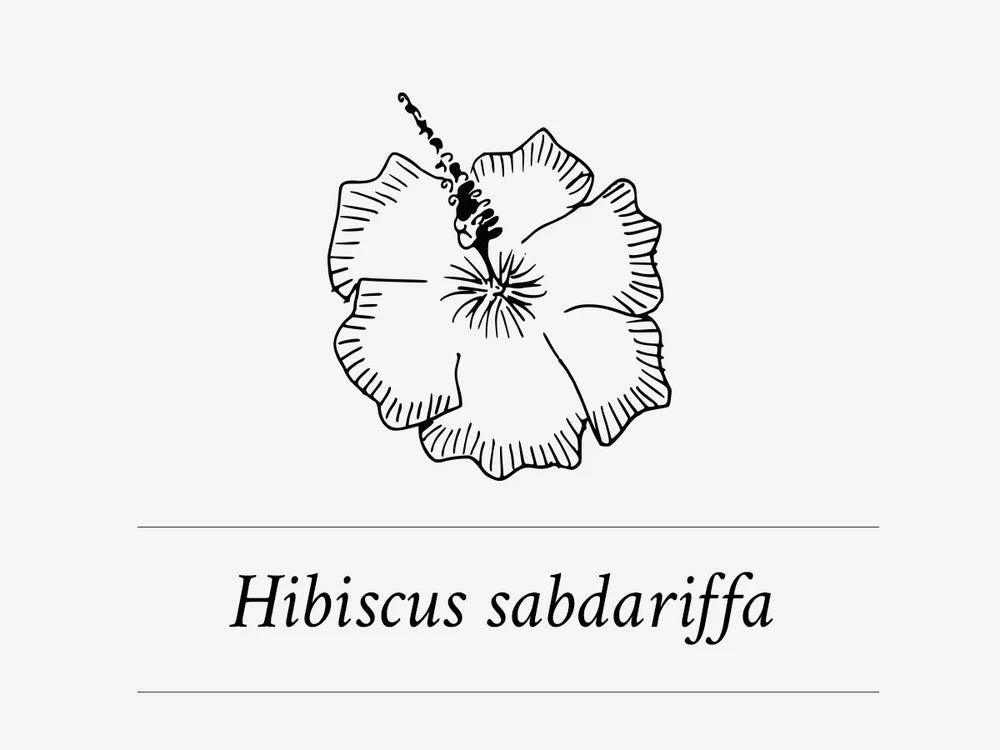 Ingredient Highlight