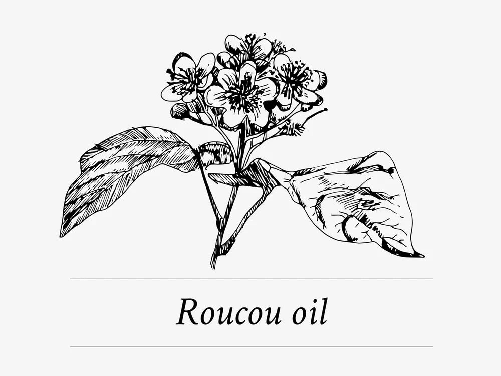 Ingredient Highlight