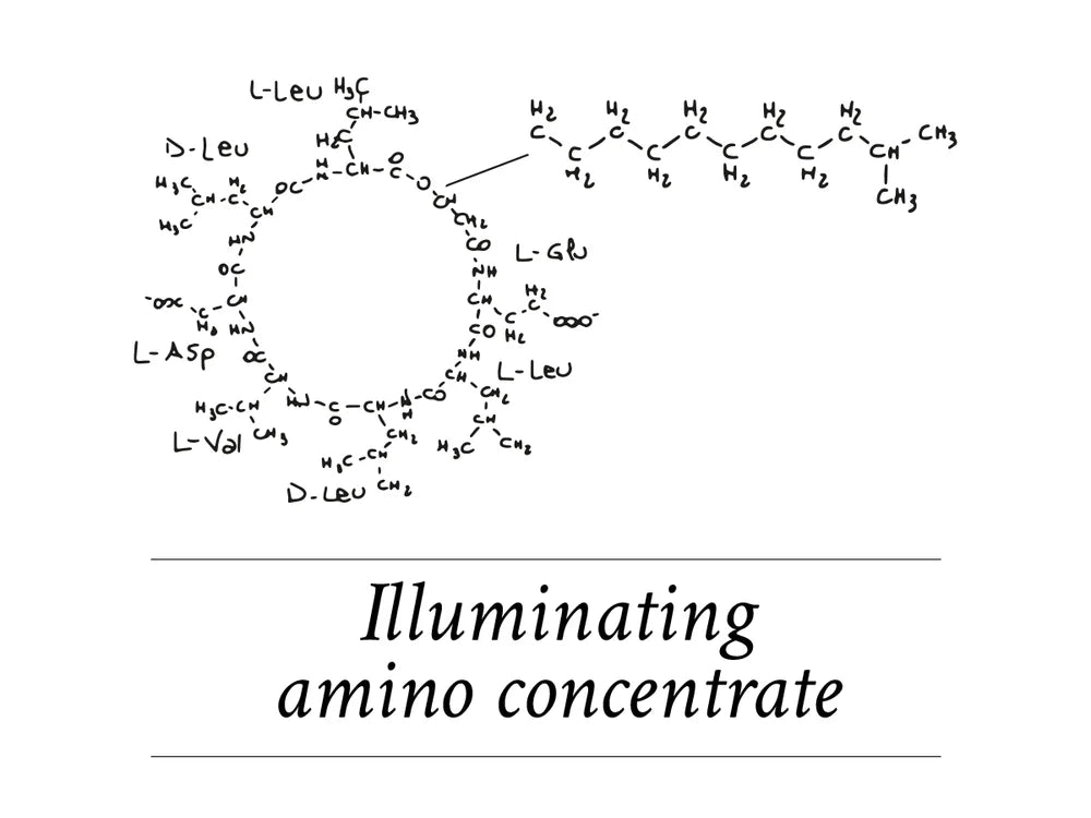 Ingredient Highlight