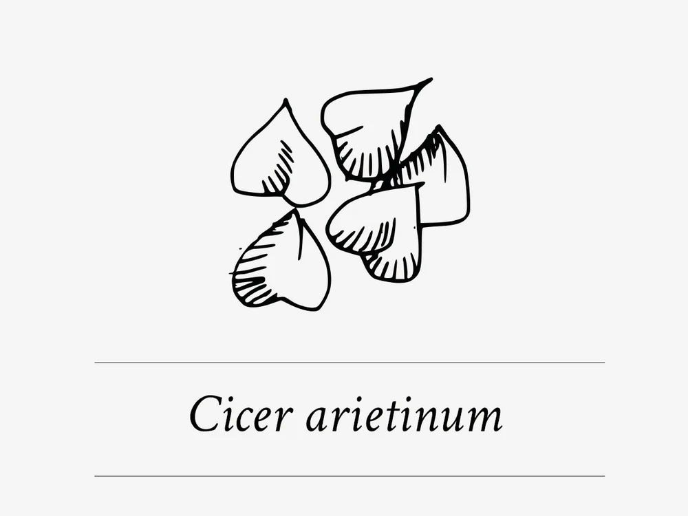 Ingredient Highlight